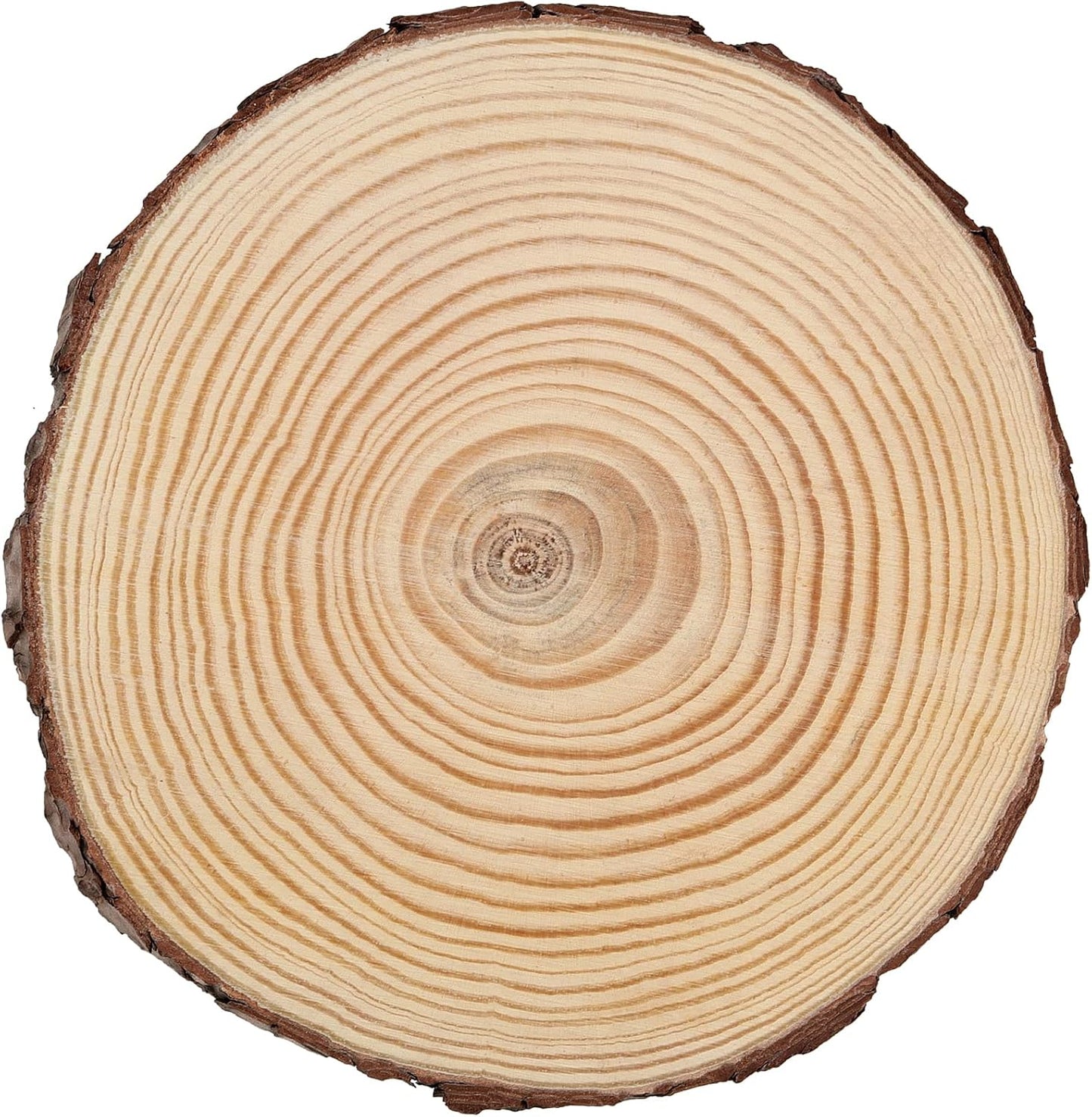 JEUIHAU 8 PCS 8-9 Inches Natural Wood Slices, Unfinished Predrilled Wooden Circles Tree Bark Slice, Blank Wooden Log Circles for DIY Crafts, Arts Wood Slices, Christmas Ornaments