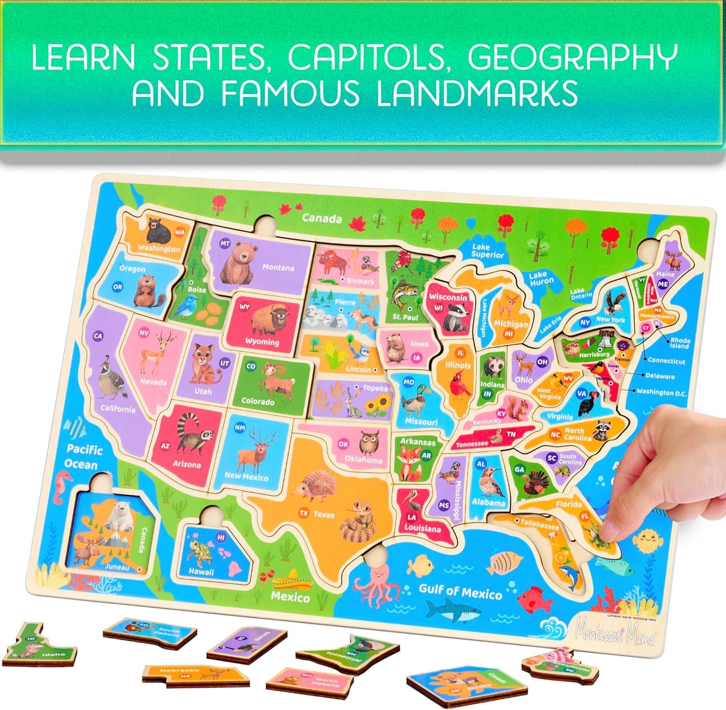 Montessori Mama USA Map Wooden Puzzle, Puzzles for Kids Ages 4-6 Educational Toys for 4 Year Old Kids Puzzles Ages 5-8 Landmarks, Animals, Capitols and States
